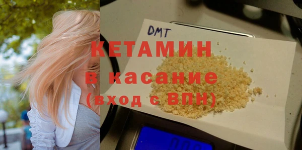 стафф Гусев