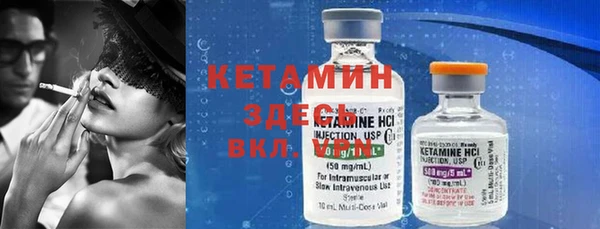 стафф Гусев