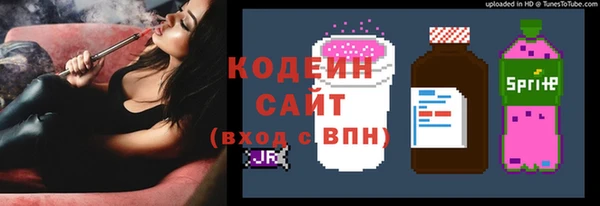 стафф Гусев