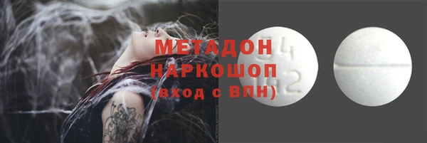 стафф Гусев