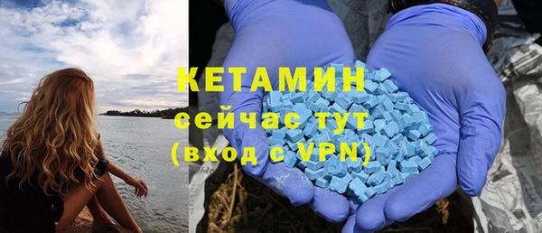 стафф Гусев