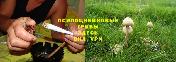 герыч Гусь-Хрустальный