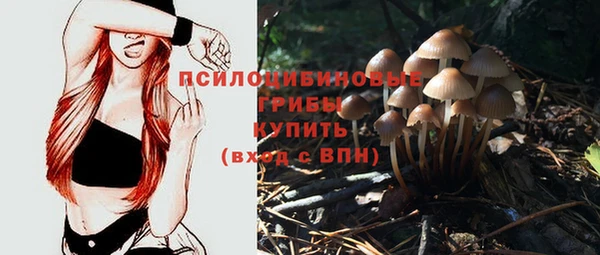 стафф Гусев
