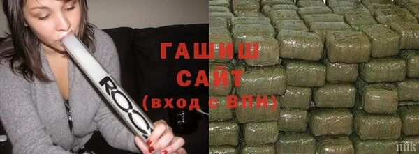 стафф Гусев