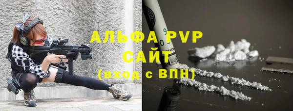 стафф Гусев