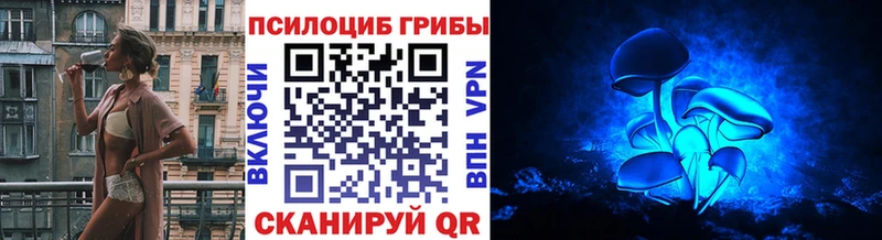 Псилоцибиновые грибы Psilocybe  OMG ТОР  Светлогорск  где продают  